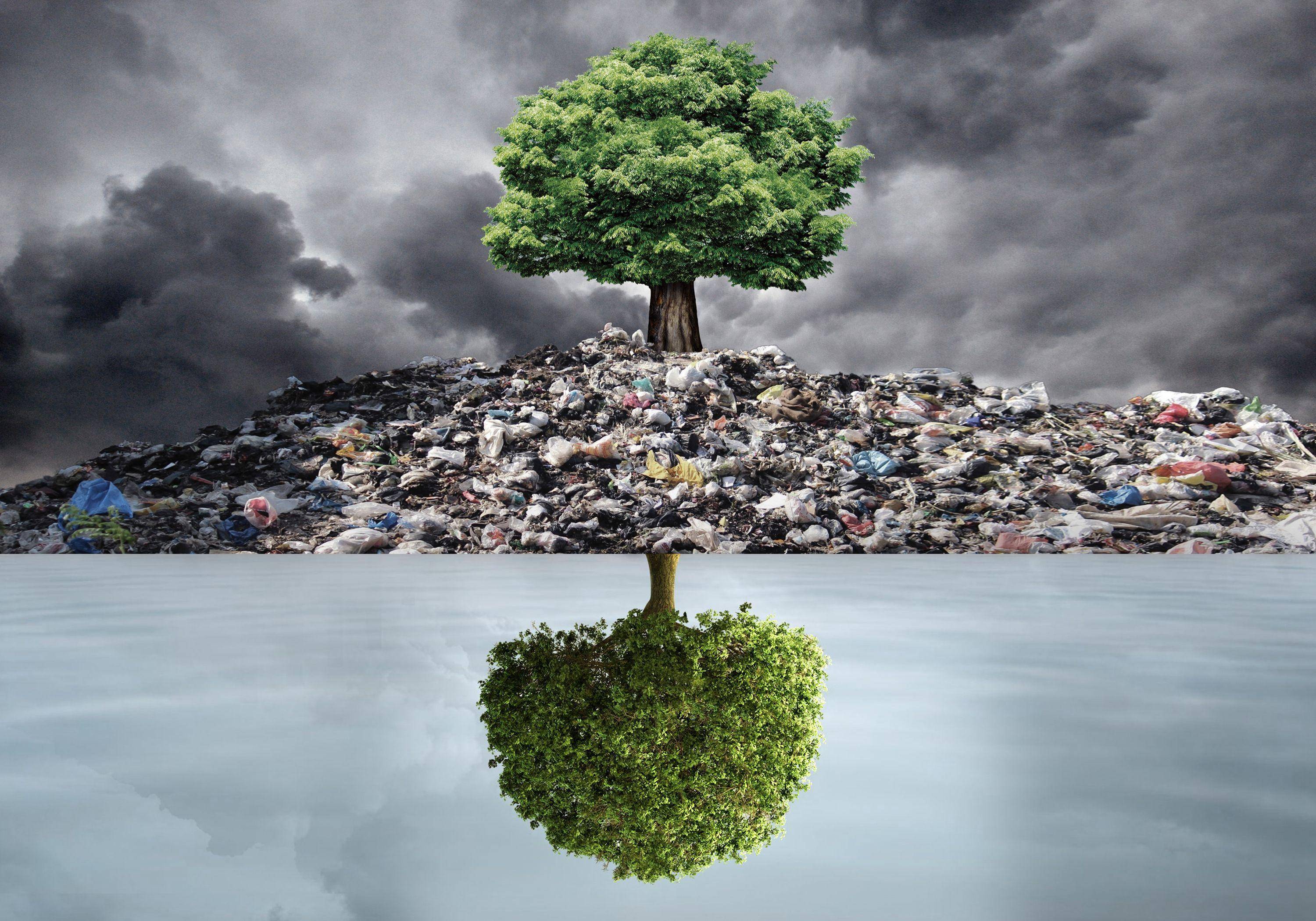 Top 5 Global Plastic Pollution Data